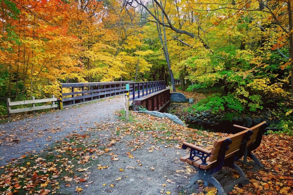 Paint Creek Trail