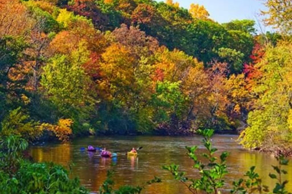 Shiawassee River